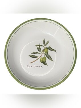 Williams Sonoma Olive Grove Cerignola Pasta Bowl Portugal Green Olive Dish 9.5”